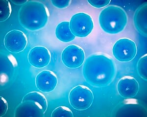 introduction-to-cell-biology-mcdbioxl10