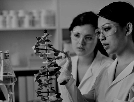 Two Female Genetic Scientists Chemists Working Together in a Laboratory