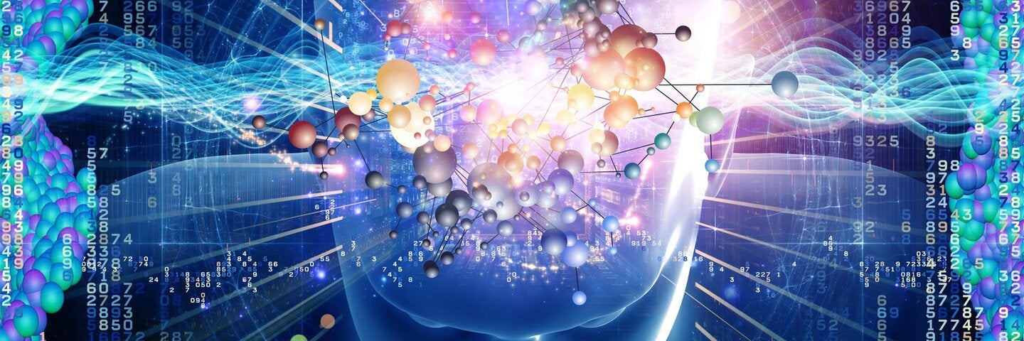 Functional Neuroanatomy