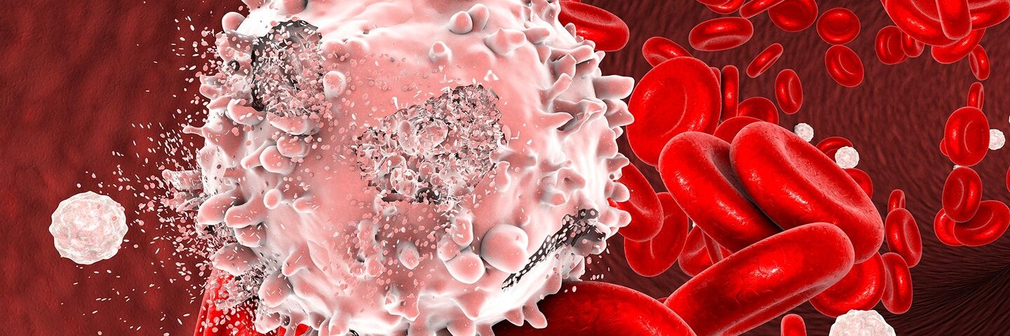 Destruction of leukaemia blood cell, computer illustration. Conceptual image for leukaemia treatment.