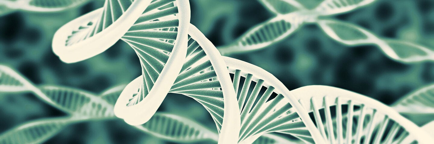 Illuminated DNA Strands