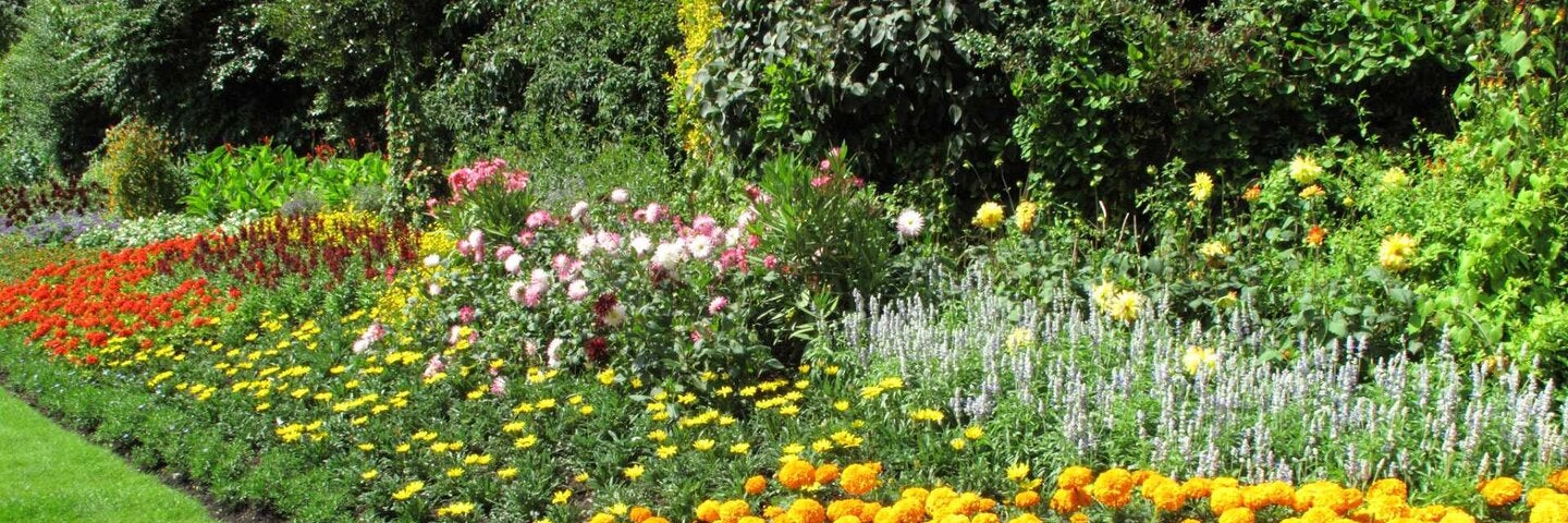 Garden Flowerbed