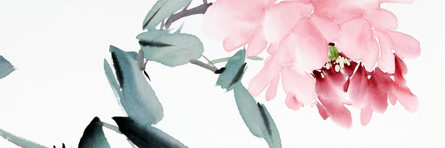 Chinese Brush Painting of Peony