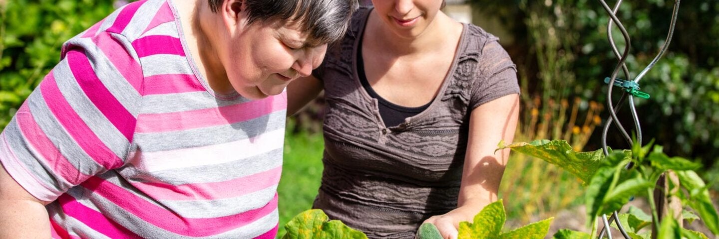 horticultural-therapy-techniques