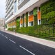 building with a living wall